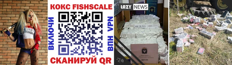 наркотики Шимановск COCAIN Fish Scale