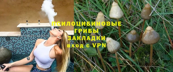 твердый Куйбышев