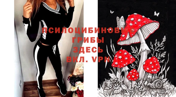 крисы Кукмор