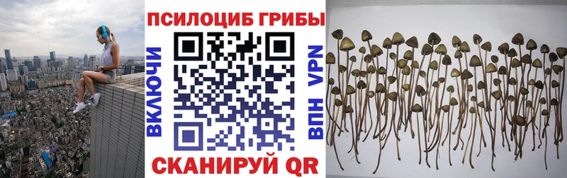 маркетплейс состав  Шимановск  Галлюциногенные грибы GOLDEN TEACHER 